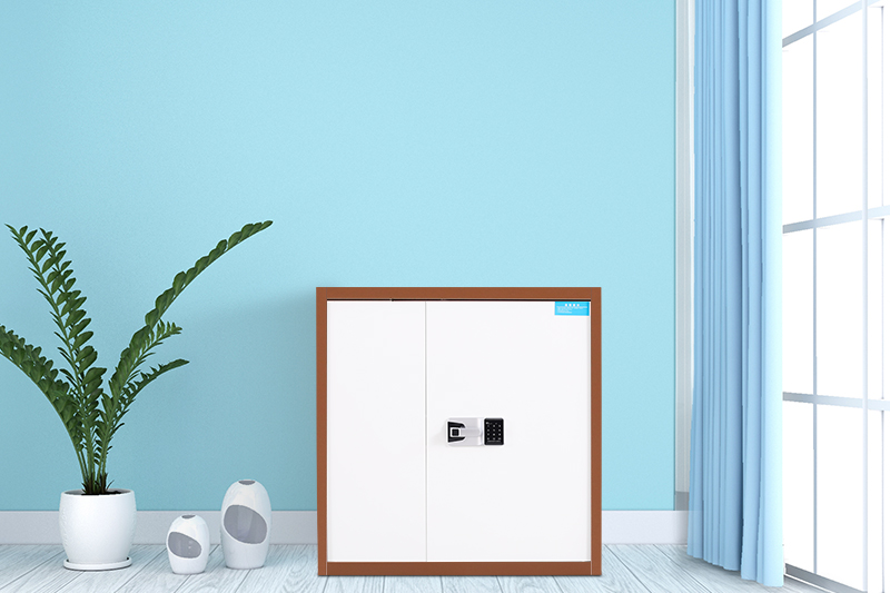 單節保密柜咖套白